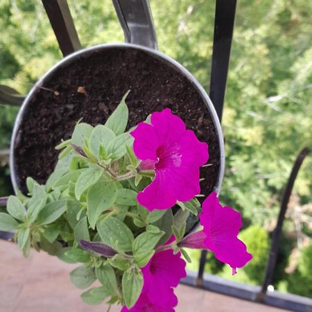Apartamenty Puk Puk Mrągowo Εξωτερικό φωτογραφία